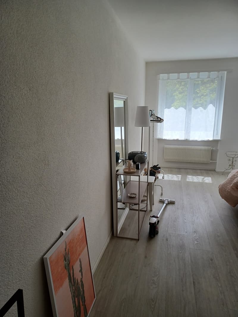 Renovierte 1 Zi. Wohnung in Meilen per 15. Nov zu vermieten (3)