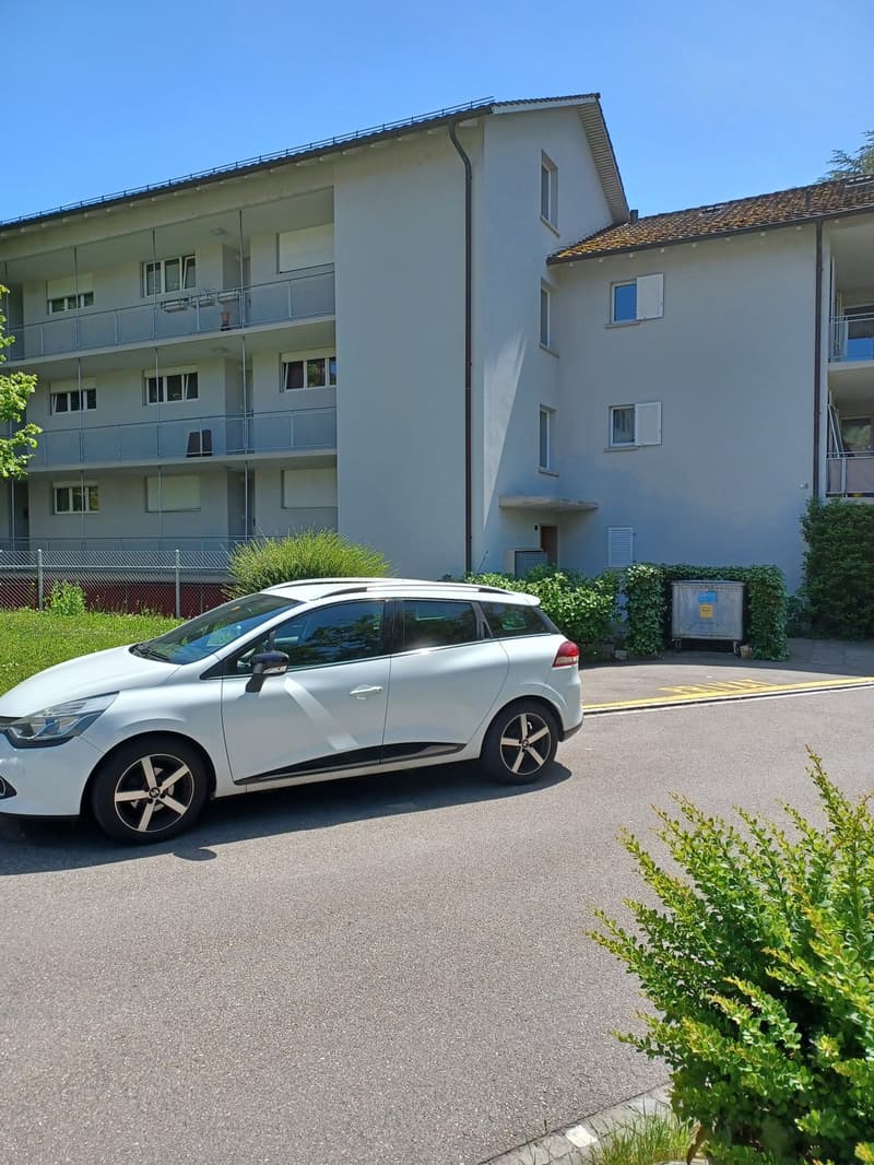 Renovierte 1 Zi. Wohnung in Meilen per 15. Nov zu vermieten (6)