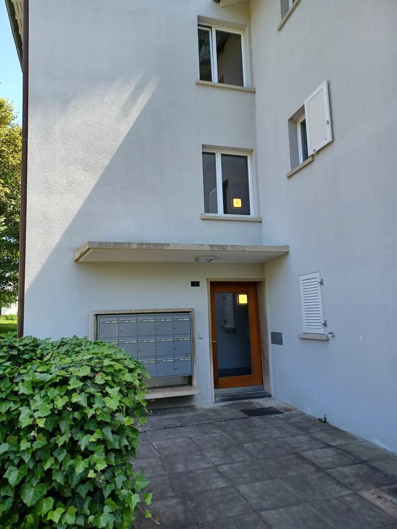 Renovierte 1 Zi. Wohnung in Meilen per 15. Nov zu vermieten (5)
