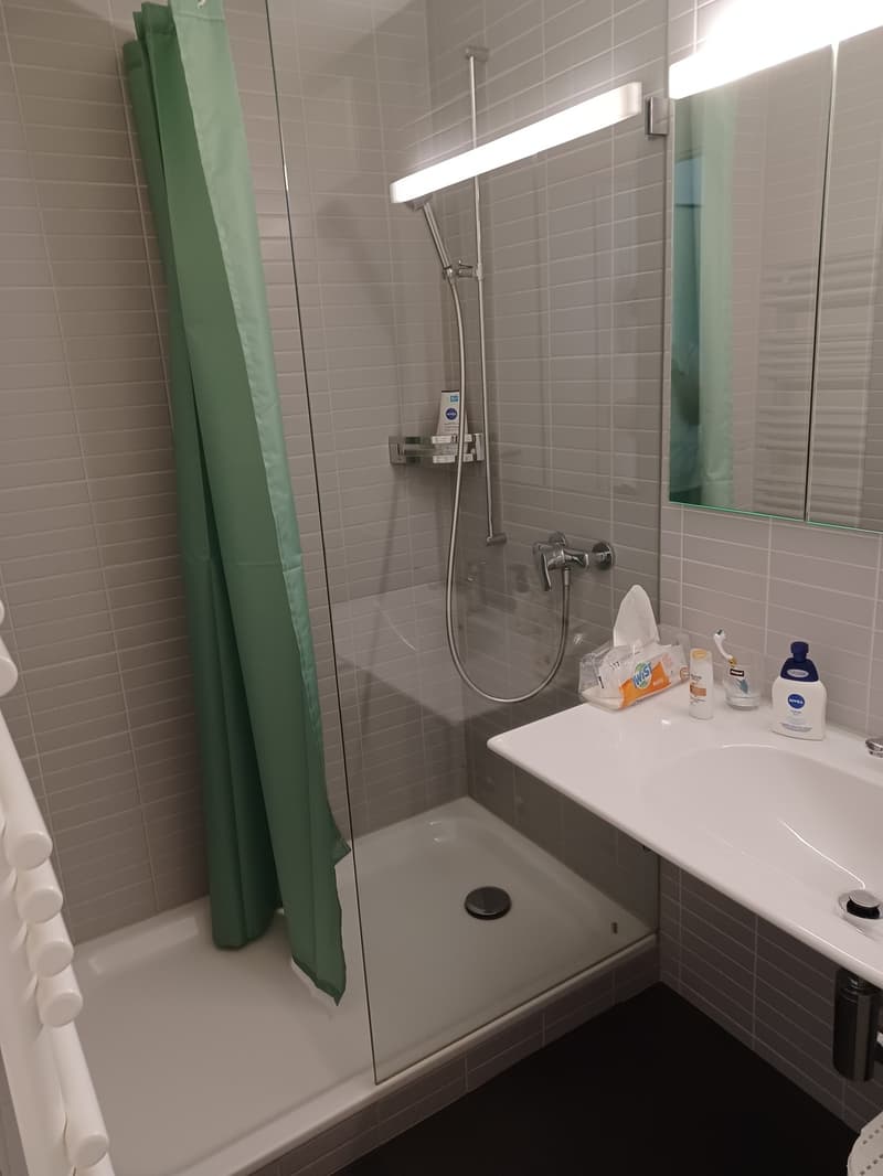Renovierte 1 Zi. Wohnung in Meilen per 15. Nov zu vermieten (2)