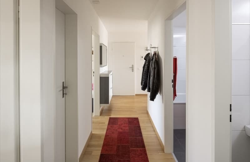 4.5 Zimmer Wohnung (1)