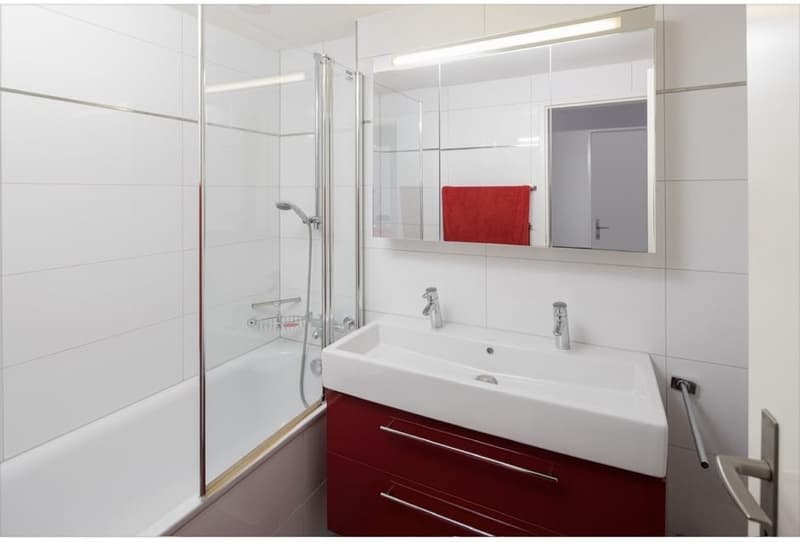 4.5 Zimmer Wohnung (3)