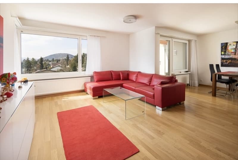 4.5 Zimmer Wohnung (9)