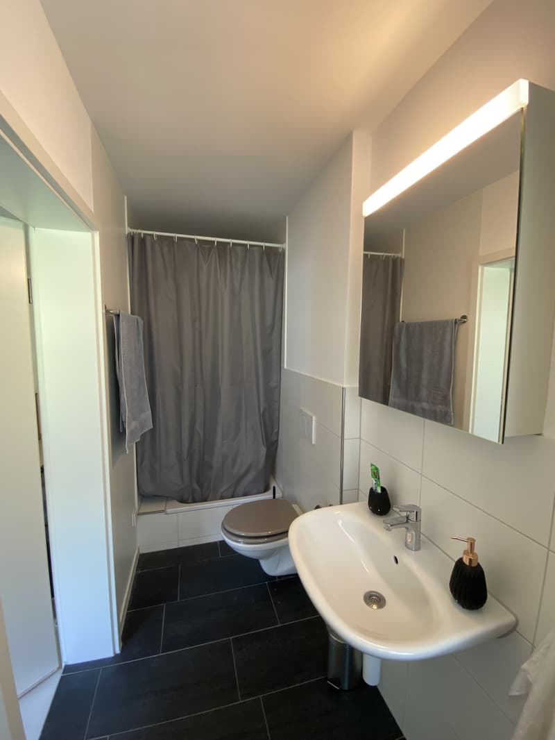 Nachmieter/in gesucht für 2.5-Zimmerwohnung (7)