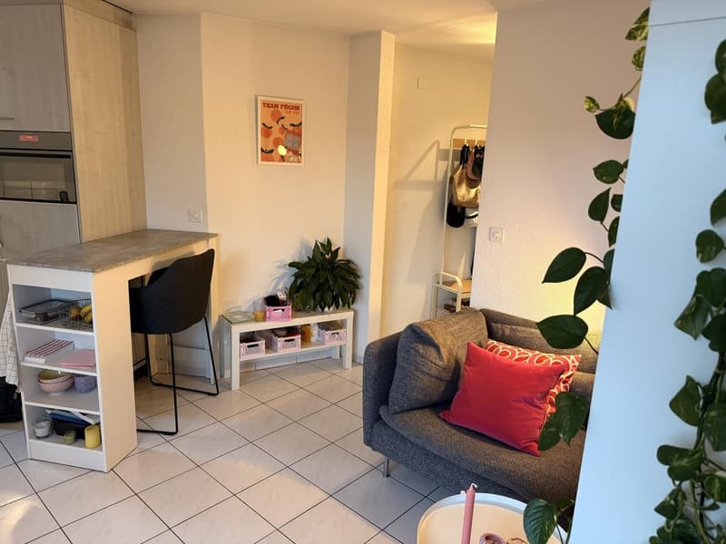 Charmantes Studio ab dem 1. November (5)