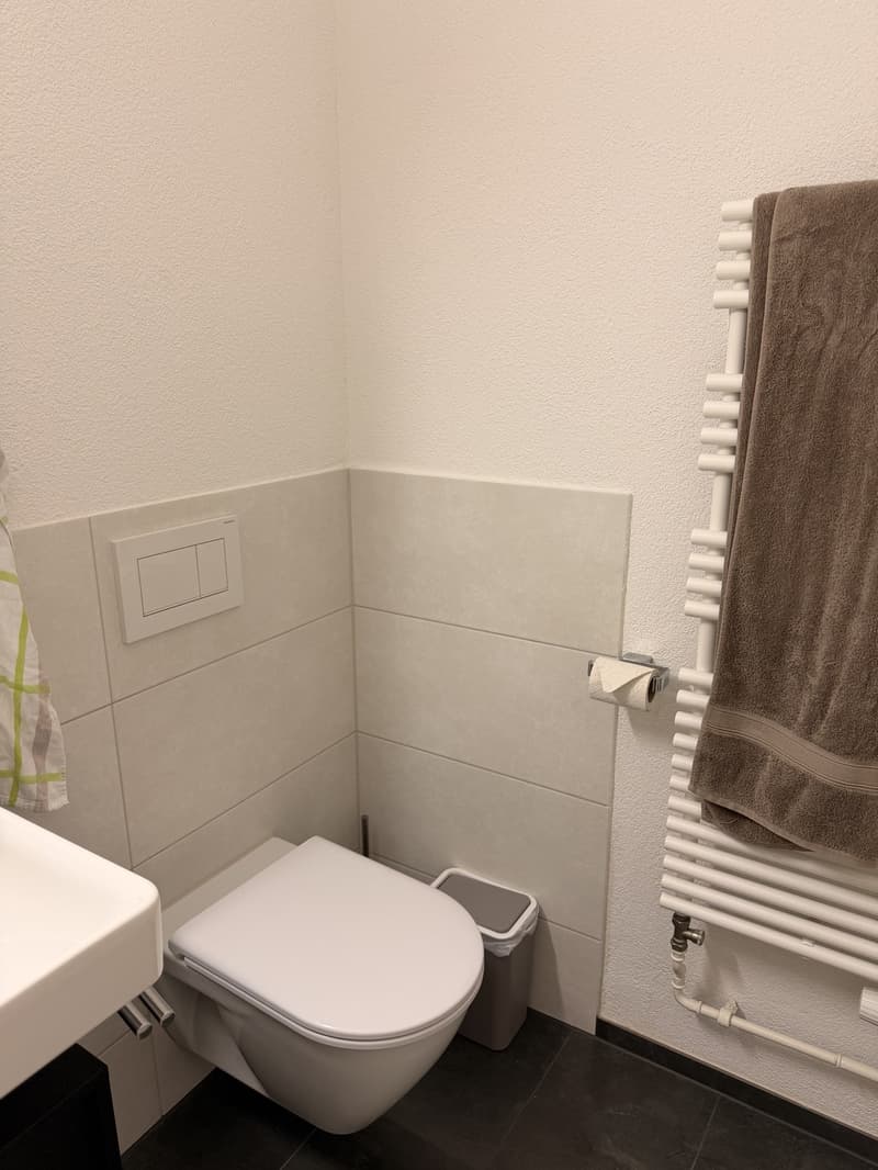 Attraktive 3-Zimmer-Wohnung mit Gartenzugang in Ostermundigen, ideal für Studierende und Paare (11)