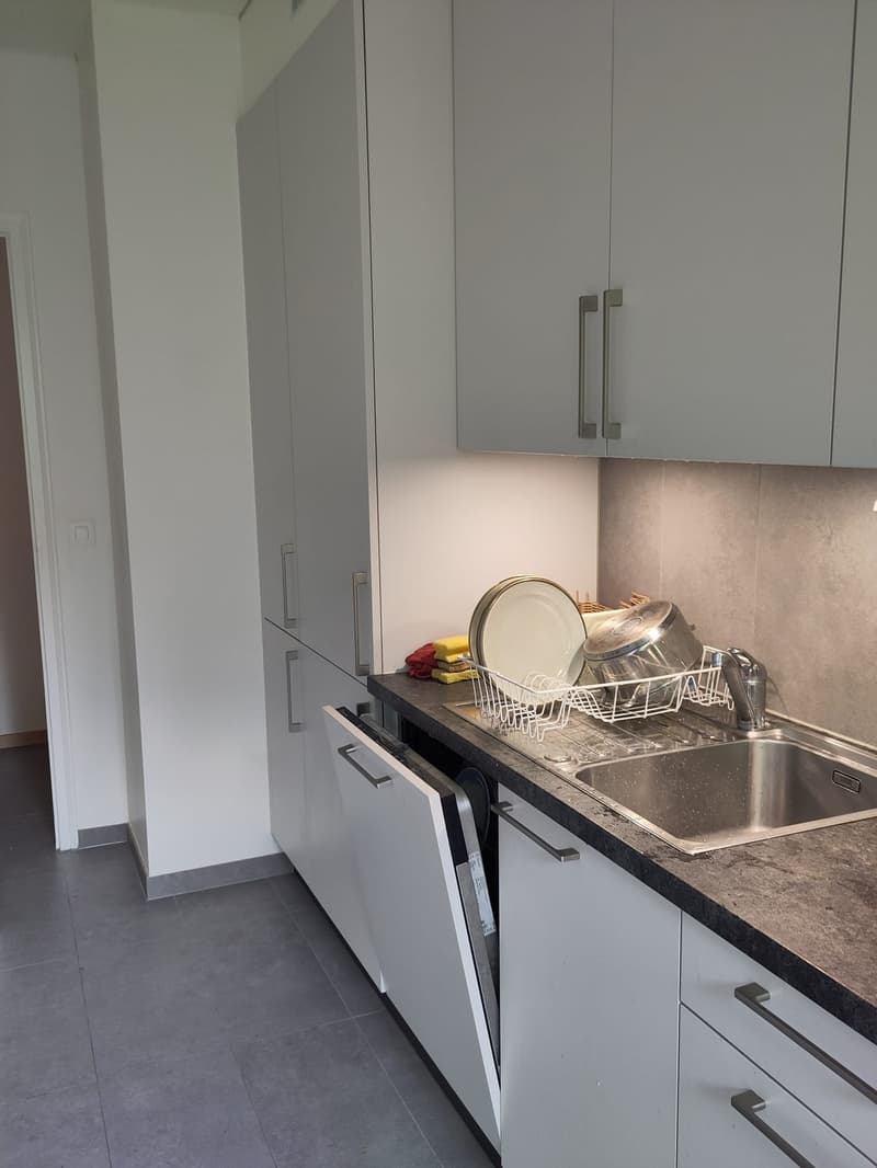 Chambre dans une collocation de 70m2 (3)