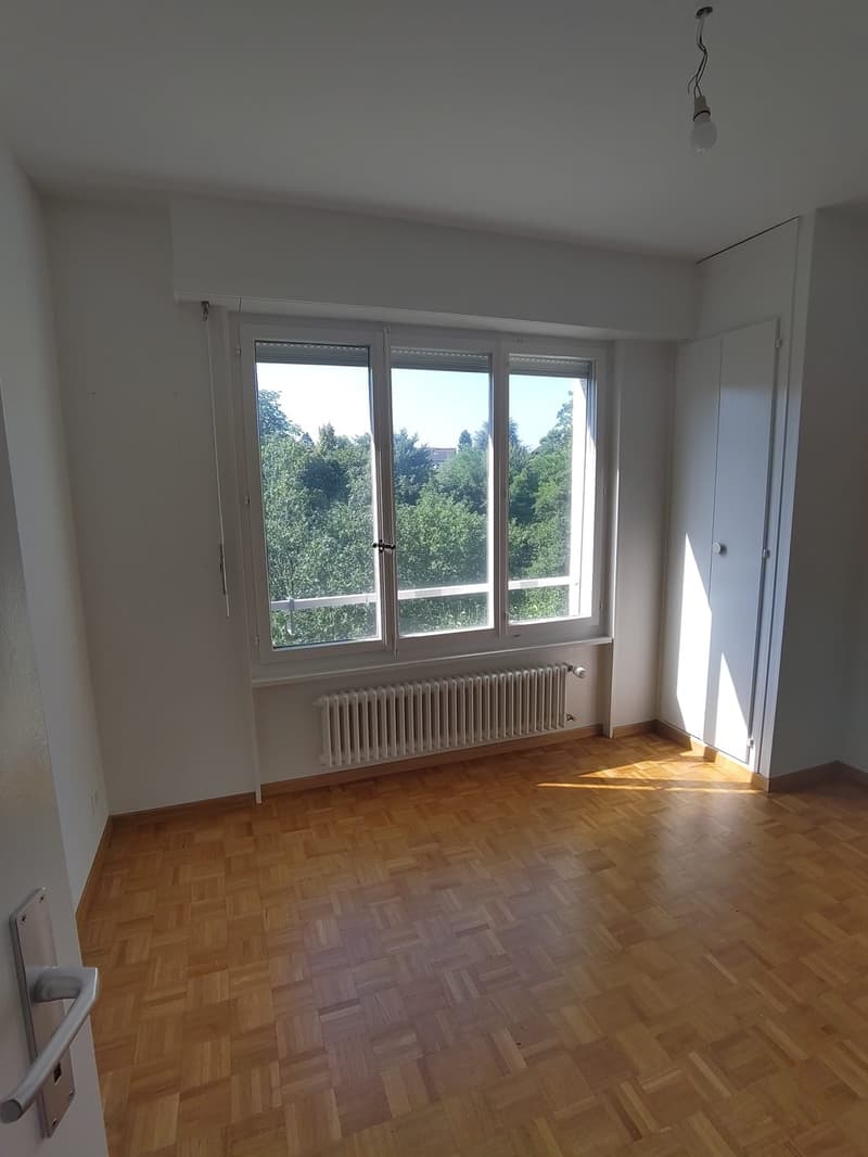Chambre dans une collocation de 70m2 (1)