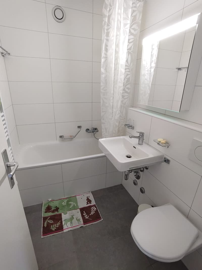 Chambre dans une collocation de 70m2 (2)