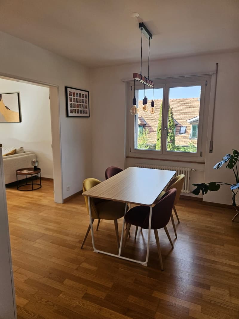 Gemütliches WG-Zimmer (20 m²) in Bern CHF 950 all inclusive (5)