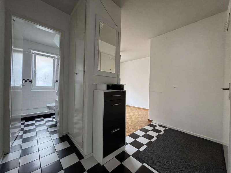 3-room flat with balcony, Nordstrasse, Zürich (3)