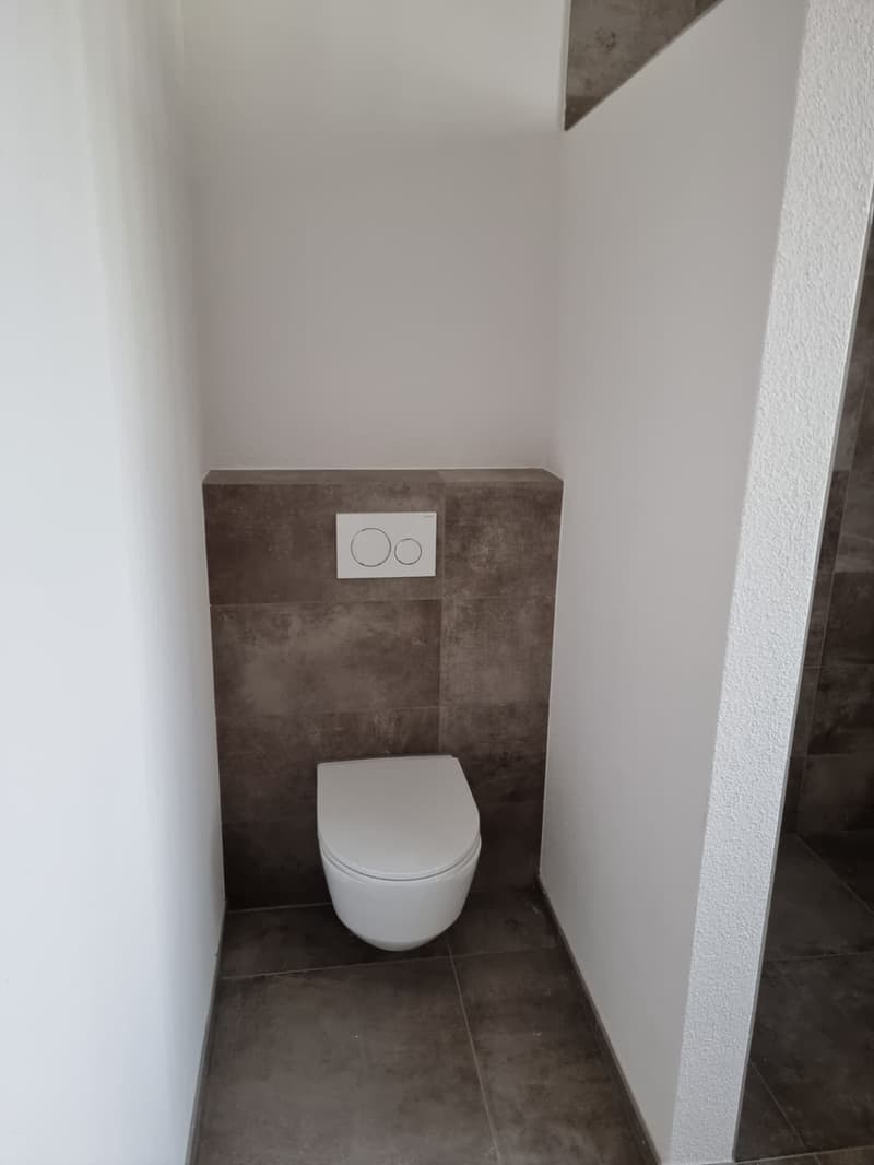 3/1 Zimmer Wohnung Dachgeschoss mit Galerie (7)