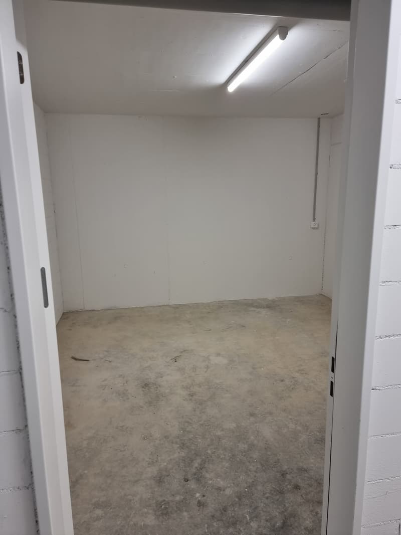 3/1 Zimmer Wohnung Dachgeschoss mit Galerie (10)