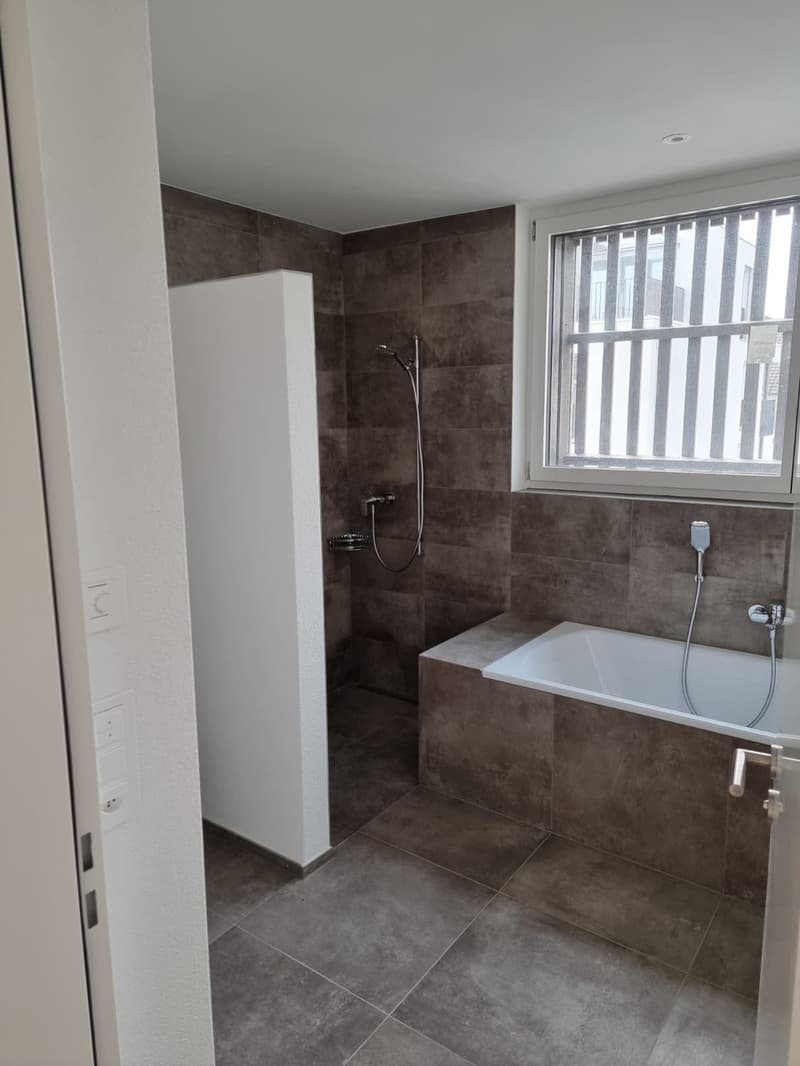 3/1 Zimmer Wohnung Dachgeschoss mit Galerie (6)