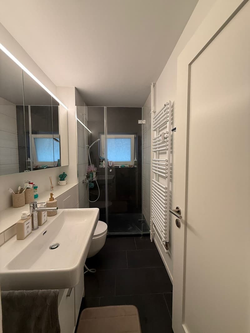 3 Zimmer Frauen WG in Pratteln, BL (2)