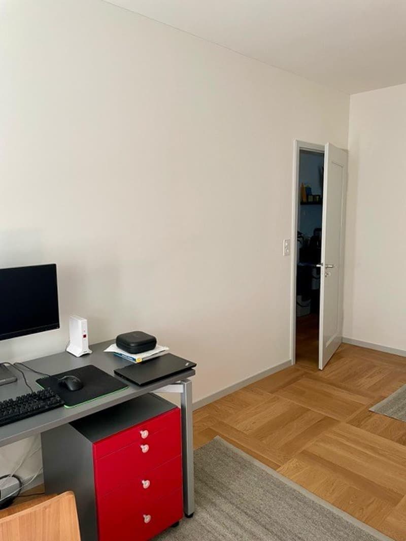 Room available in Zurich-Hottingen  Freiestrasse (8032) (4)
