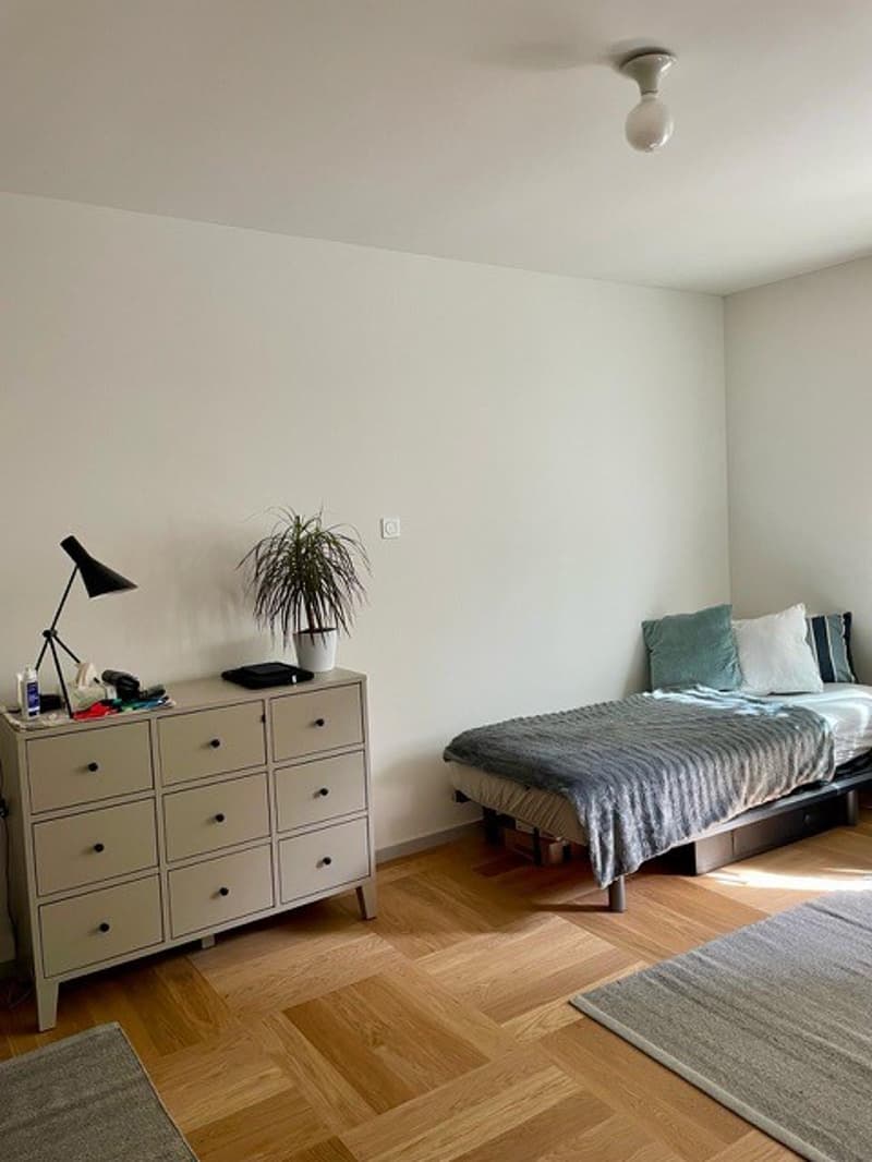 Room available in Zurich-Hottingen  Freiestrasse (8032) (3)