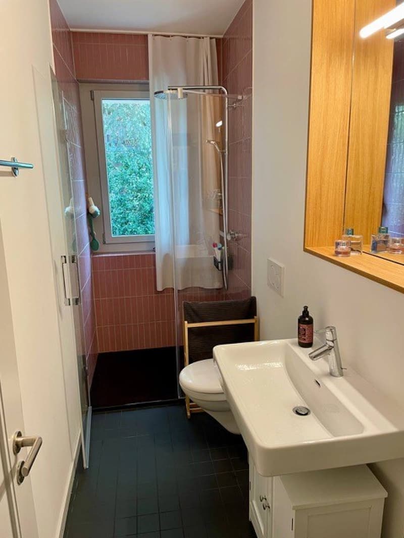 Room available in Zurich-Hottingen  Freiestrasse (8032) (6)