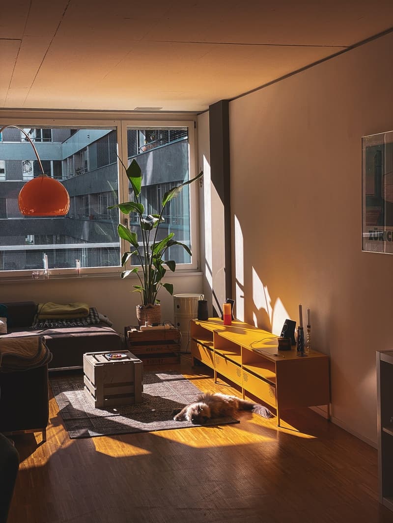 WG-Zimmer im Maaghof mit Büsi (5)