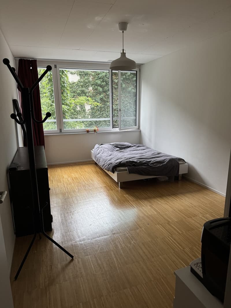 WG-Zimmer im Maaghof mit Büsi (10)