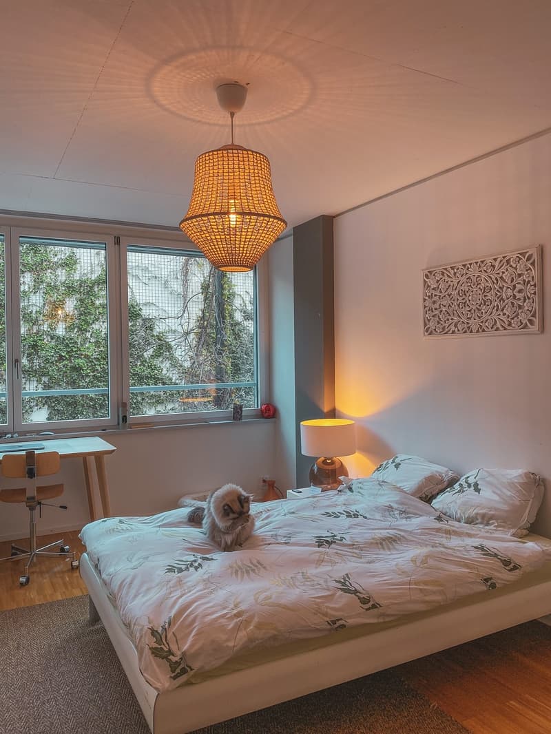 WG-Zimmer im Maaghof mit Büsi (1)