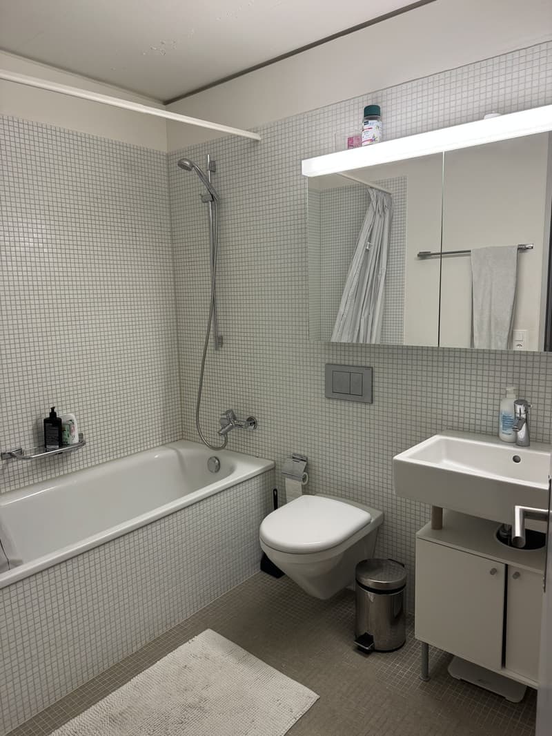 WG-Zimmer im Maaghof mit Büsi (11)