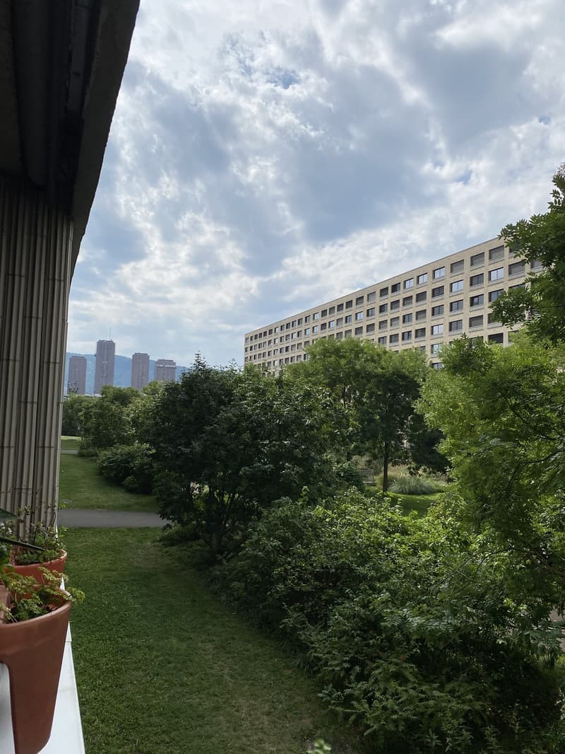 WG-Zimmer im Maaghof mit Büsi (9)