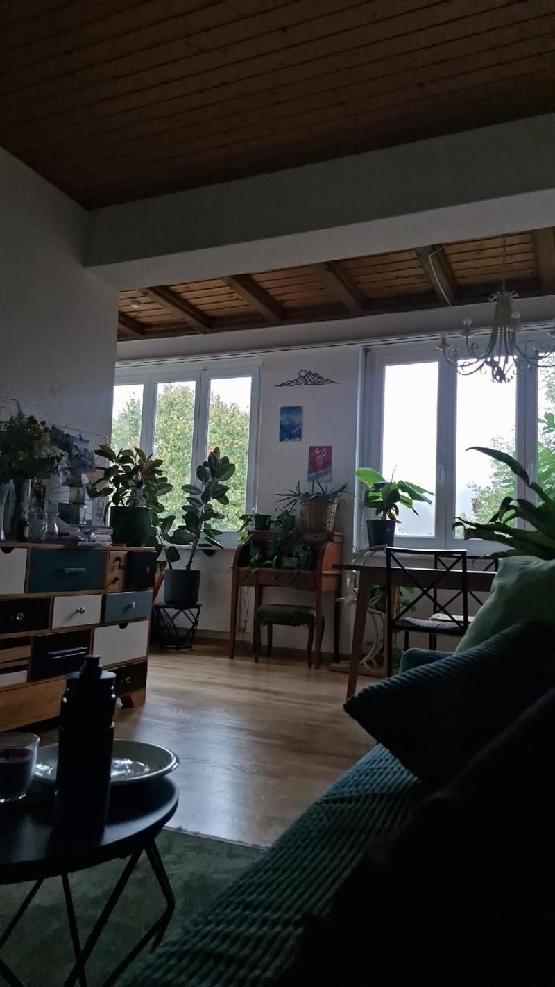 Gemütliches WG-Zimmer im Herzen von Olten (1)