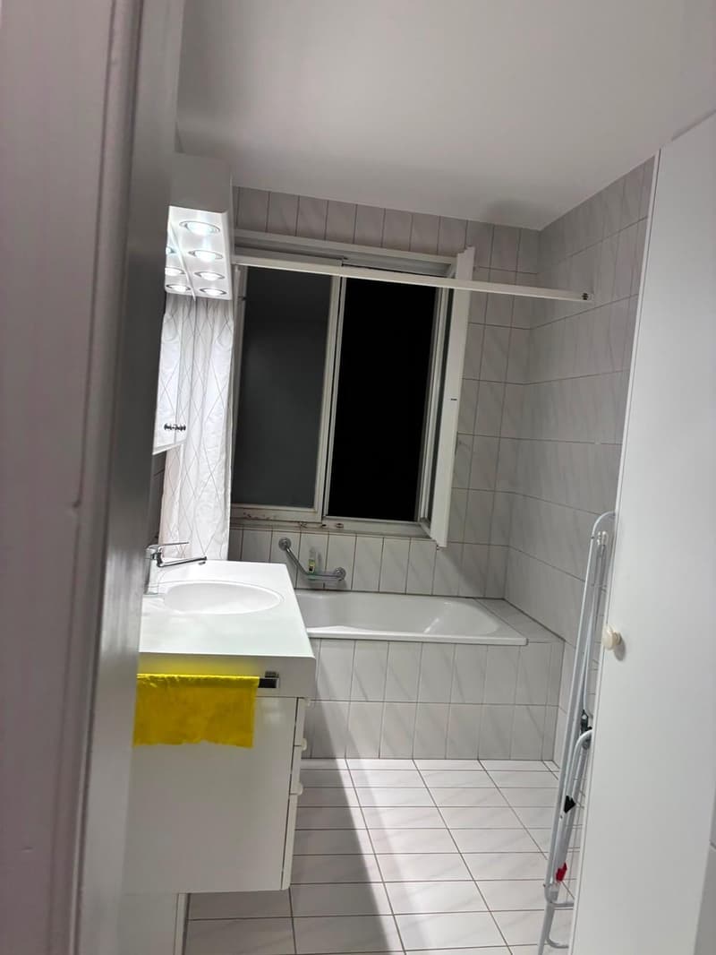WG-Zimmer in Top-Lage in Zürich Enge/Sihlcity (2)