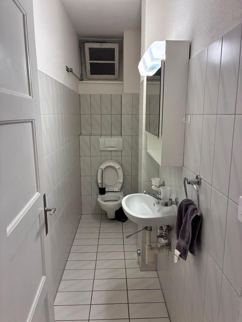 WG-Zimmer in Top-Lage in Zürich Enge/Sihlcity (3)