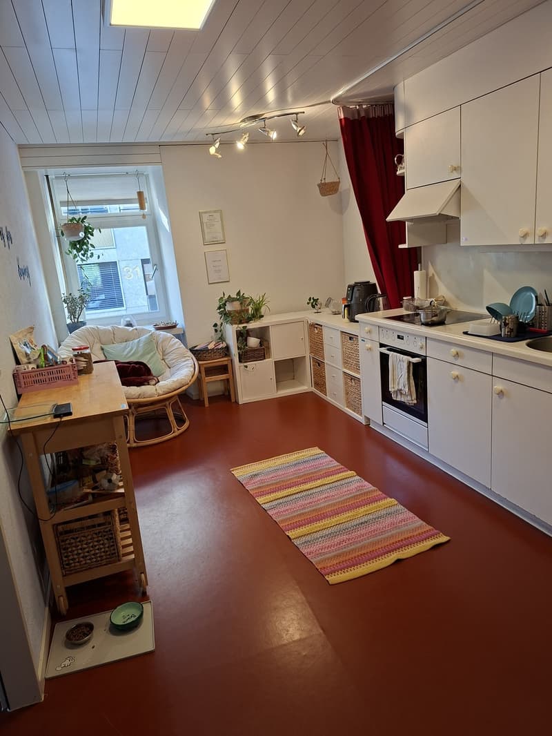 Cozy 1.5 rooms apartement (2)