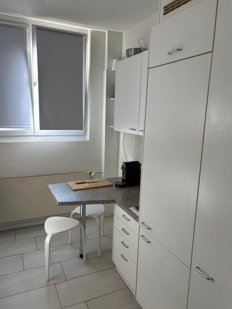 Wg Zimmer nahe Uni Campus Zürich (12)