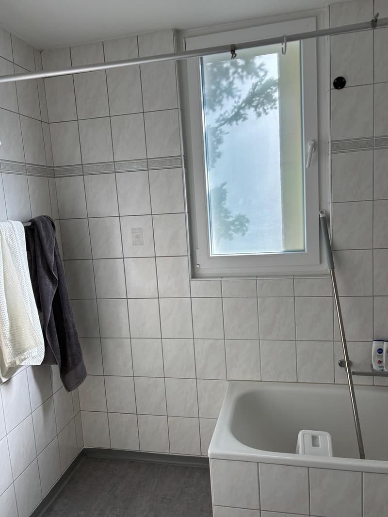 Wg Zimmer nahe Uni Campus Zürich (8)