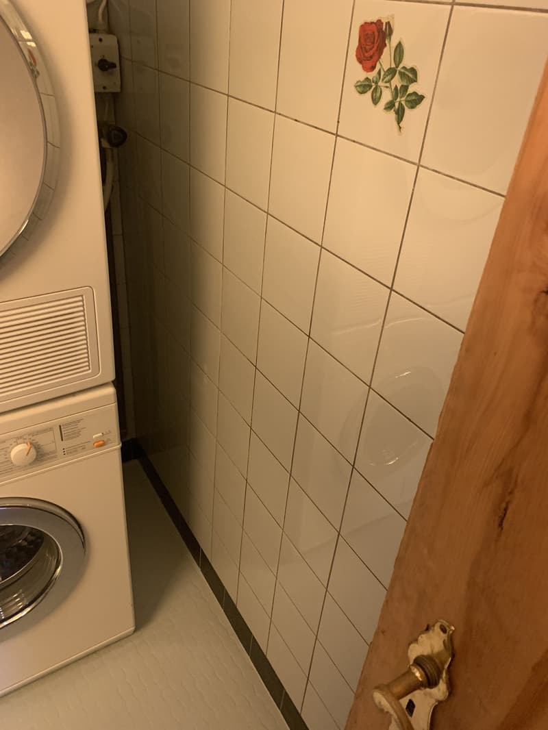 Washer/Dryer (in bathroom)