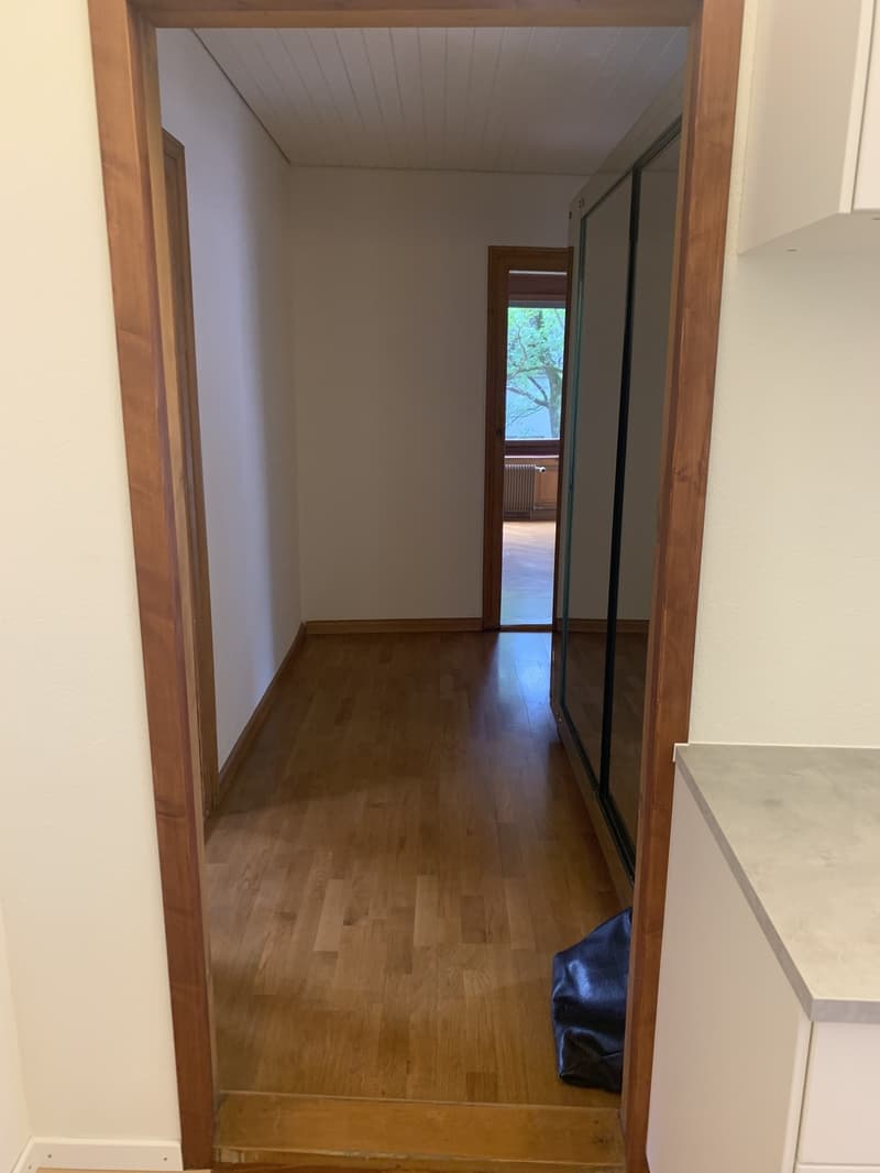 Hallway w/ huge mirror/wardrobe