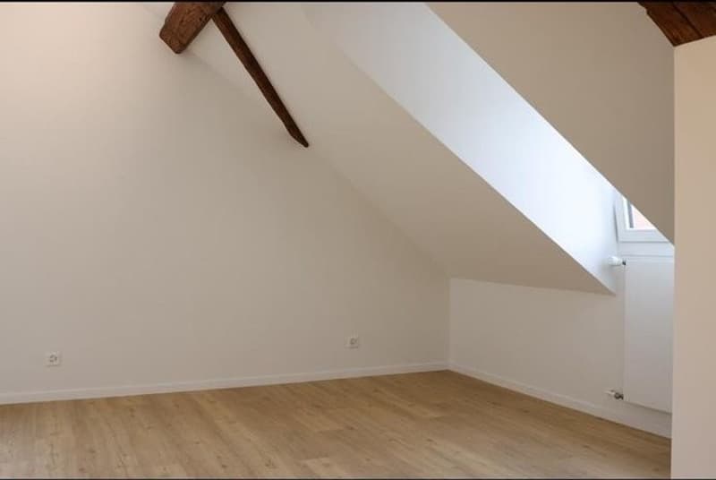 2.5 Zi Wohnung sucht per sofort Nachmiete (7)
