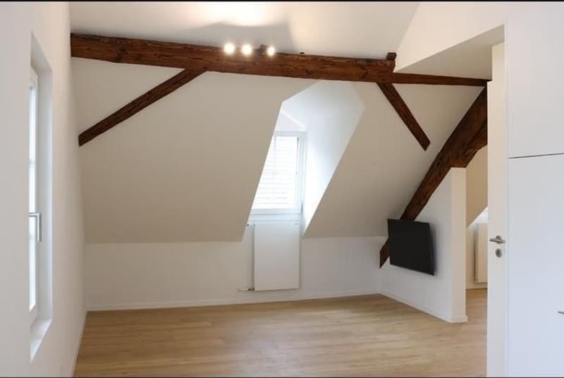 2.5 Zi Wohnung sucht per sofort Nachmiete (9)