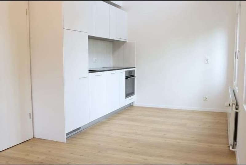 2.5 Zi Wohnung sucht per sofort Nachmiete (10)