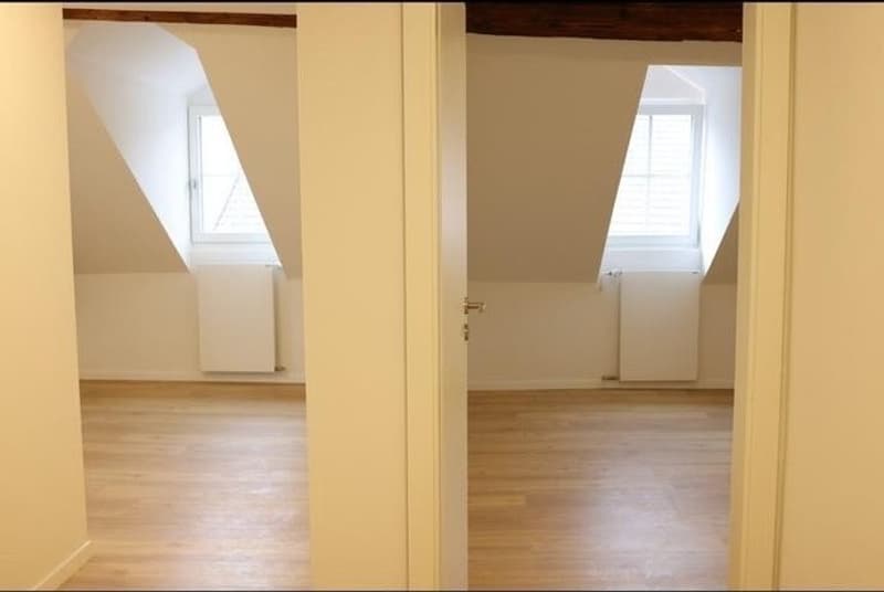 2.5 Zi Wohnung sucht per sofort Nachmiete (11)