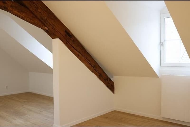 2.5 Zi Wohnung sucht per sofort Nachmiete (13)