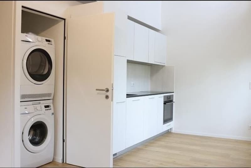 2.5 Zi Wohnung sucht per sofort Nachmiete (6)