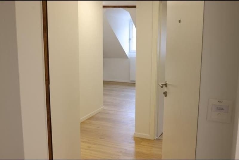 2.5 Zi Wohnung sucht per sofort Nachmiete (4)