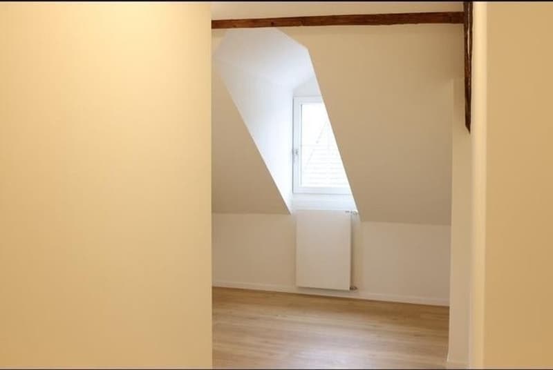 2.5 Zi Wohnung sucht per sofort Nachmiete (2)