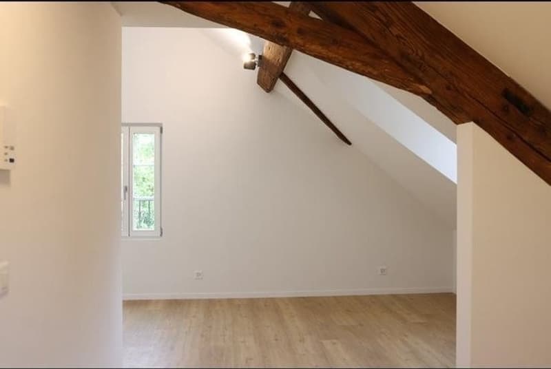 2.5 Zi Wohnung sucht per sofort Nachmiete (5)