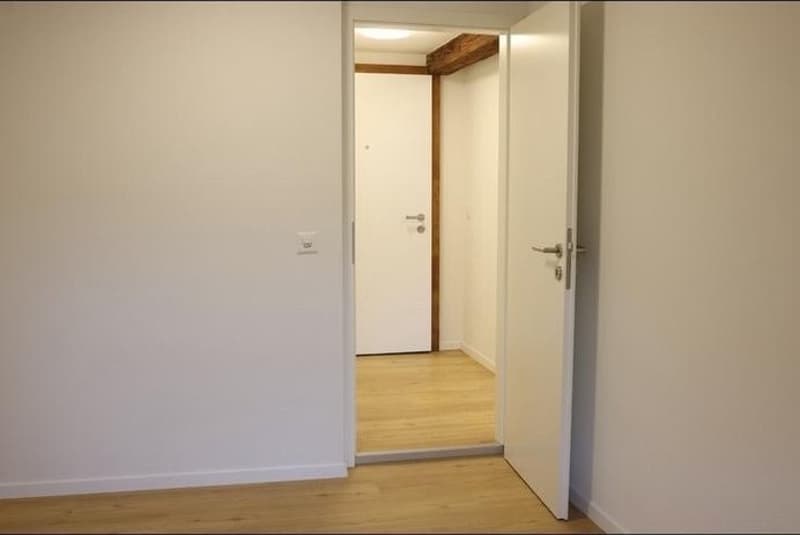 2.5 Zi Wohnung sucht per sofort Nachmiete (3)