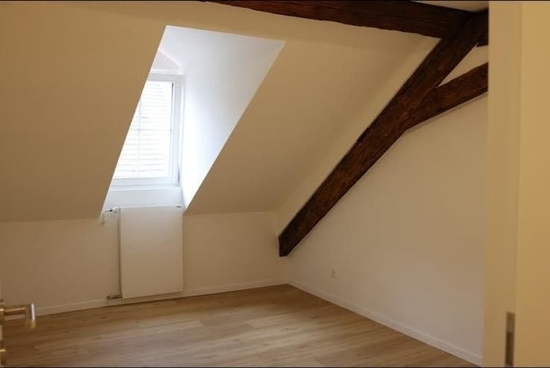 2.5 Zi Wohnung sucht per sofort Nachmiete (8)