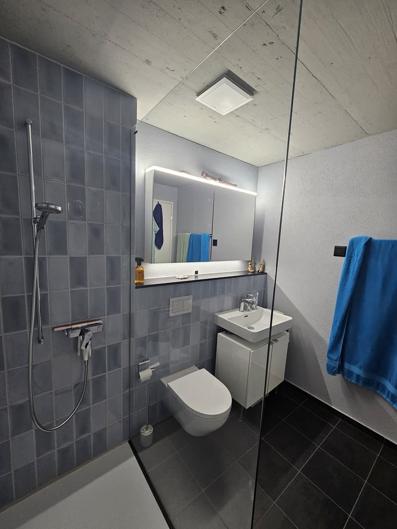 Moderne 3.5 Zimmer Attika-Wohnung in Bülach (5)