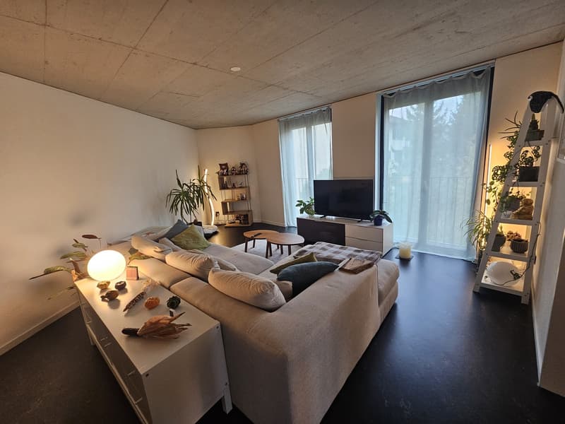 Moderne 3.5 Zimmer Attika-Wohnung in Bülach (4)
