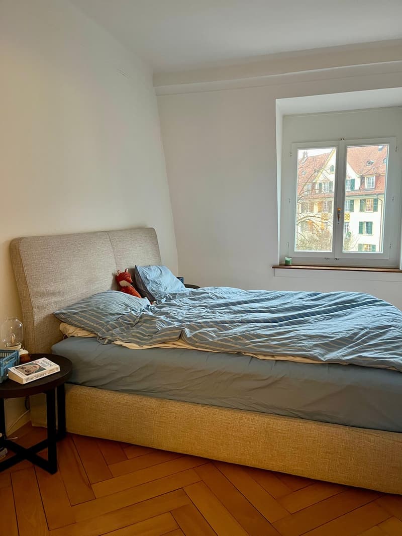 Mitbewohner/in gesucht Charmante Altbaudachwohnung in Zürich, Kreis 6 (5)