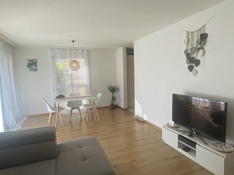 Appartment 3.5 Zimmer frei (Mindestmietdauer 1 Jahr) (6)